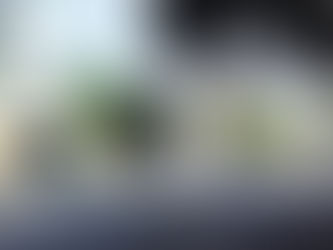 הקרנה ודיון בתיכון ראשונים הרצליה / מבצע חתונה