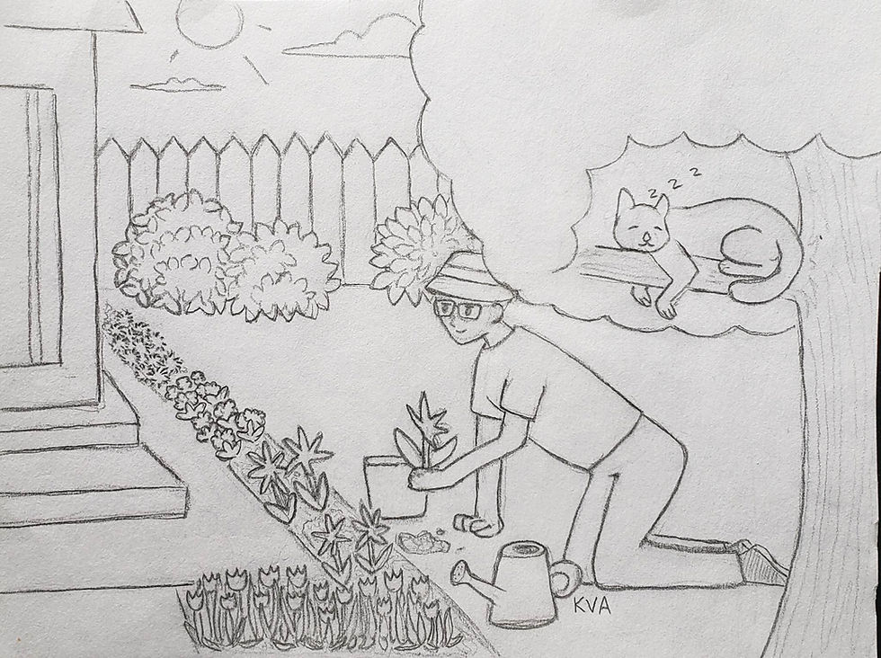 Veterinary Vignette - Adopted