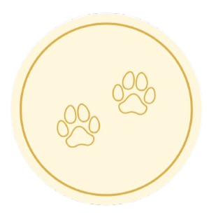 Untitled_design__1_-removebg-preview.png