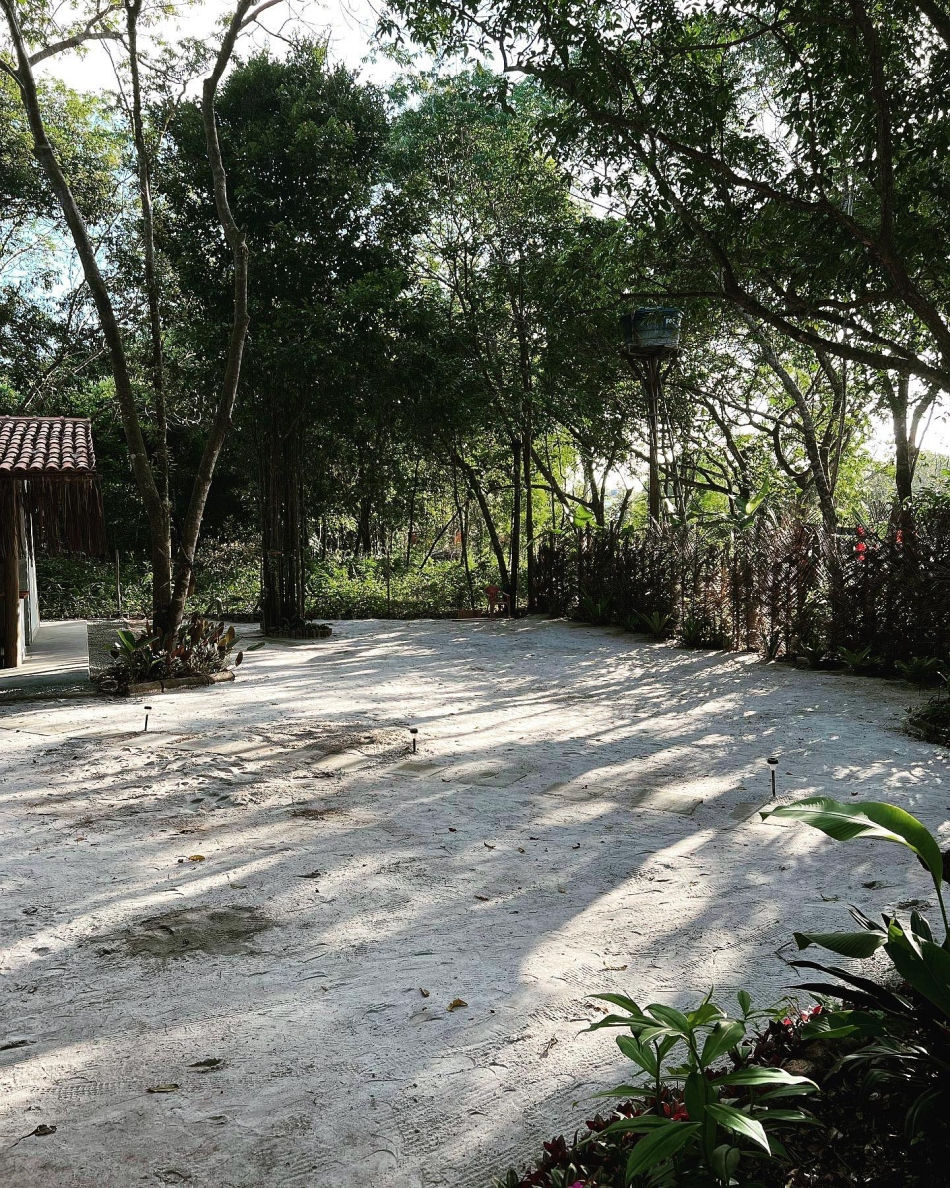 Jardim - Glamping Coco Dendê