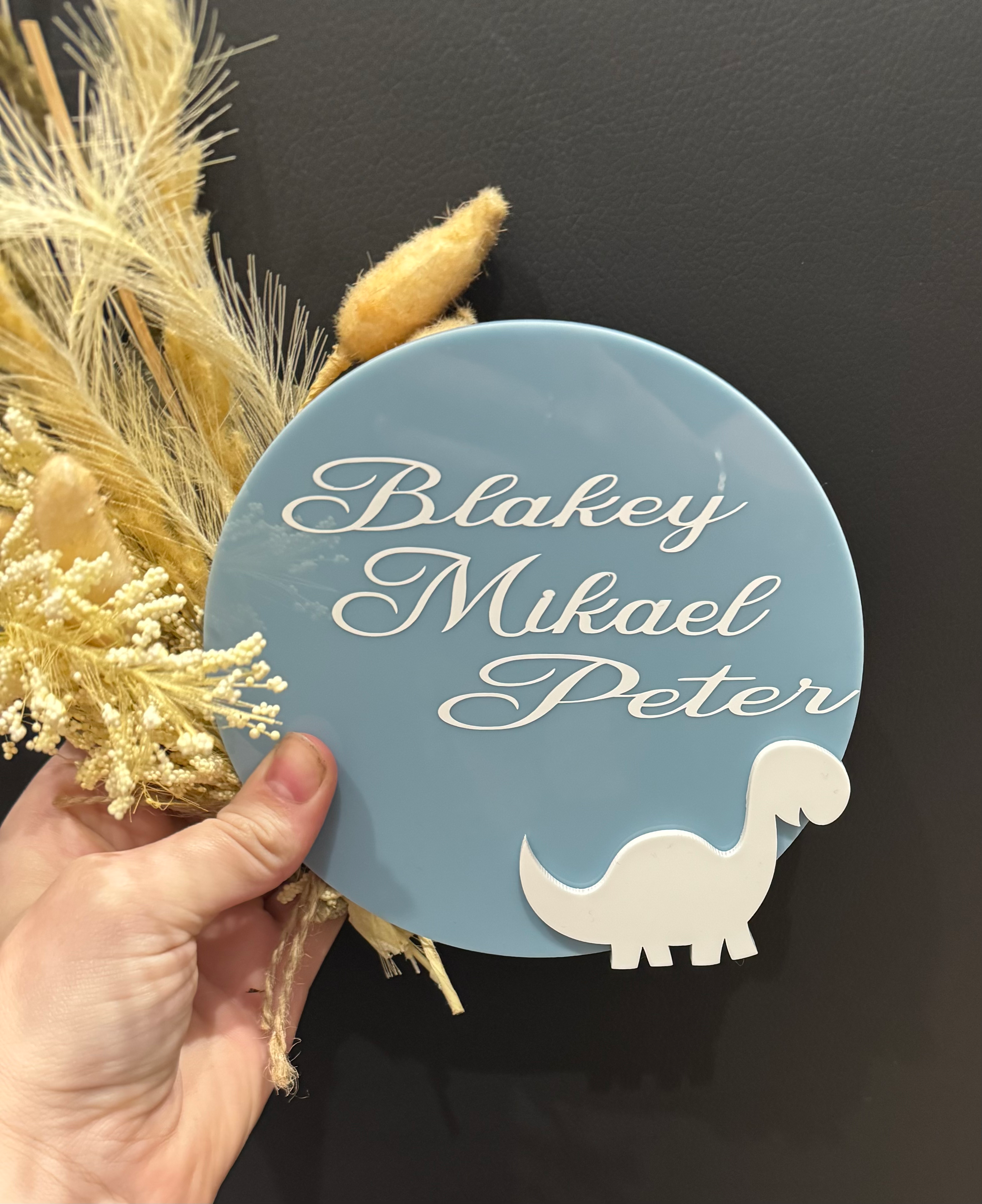 Acrylic Dinasour plaque (personalised)