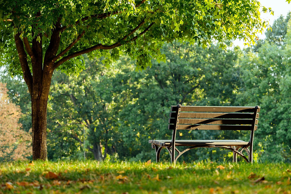 mohammad_usman-bench-8260158_1920.jpg