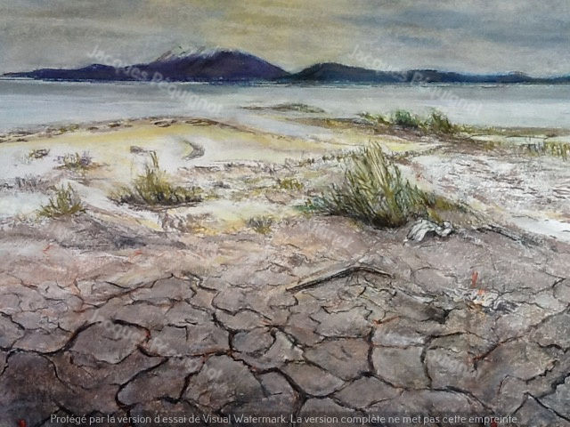 50x65 cm Etang de Salses