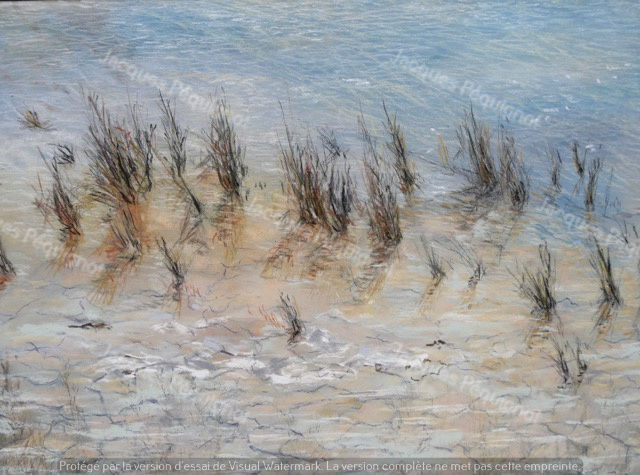53x37 cm Marais salants (acrilique)