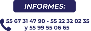 Asset 3informes.png