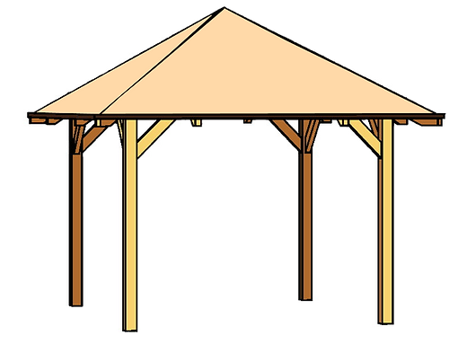pavi.png