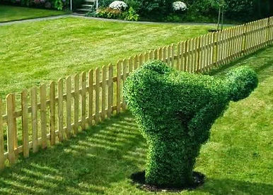 hecke.jpg