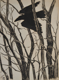 Crow Dream Study DSC_2851