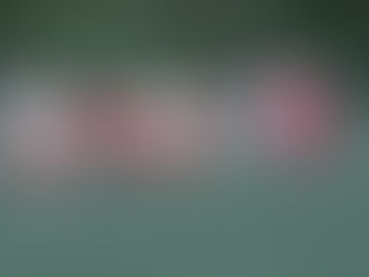 D1 baut Tabellenführung aus