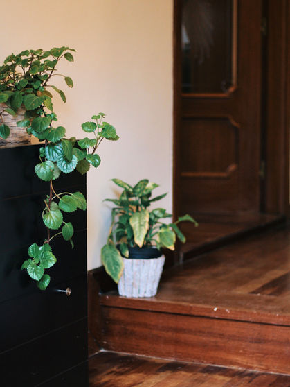 la casona de la carbayeda 1.jpg