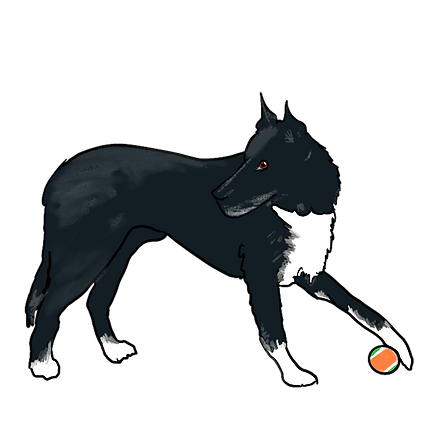 Untitled_Artwork (2).png