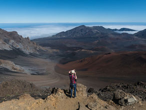 The States with the Most Photographers - Revealed 