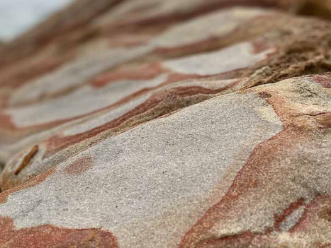 Issue 10, December 2020