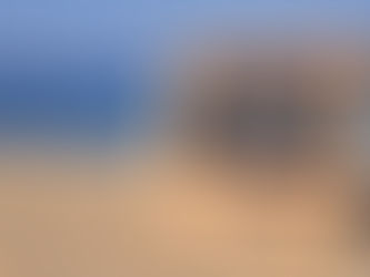 Summer learning loss in reading? Not necessarily