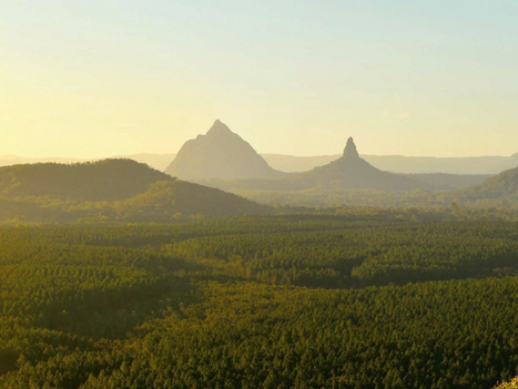 Issue 6, November 2018