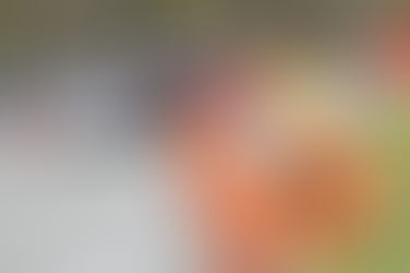 Prepare for the Building of God's Highway of Holiness