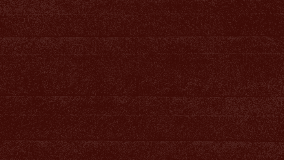 2026 x Stevens Media House Brand Upgrade (17).png
