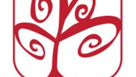 A Plus Tree