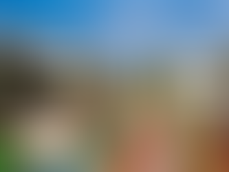 PUP Picks- Shining a Light on Progress: Northern California's Solar Surge and Broadcom's Strategic Real Estate Shuffle