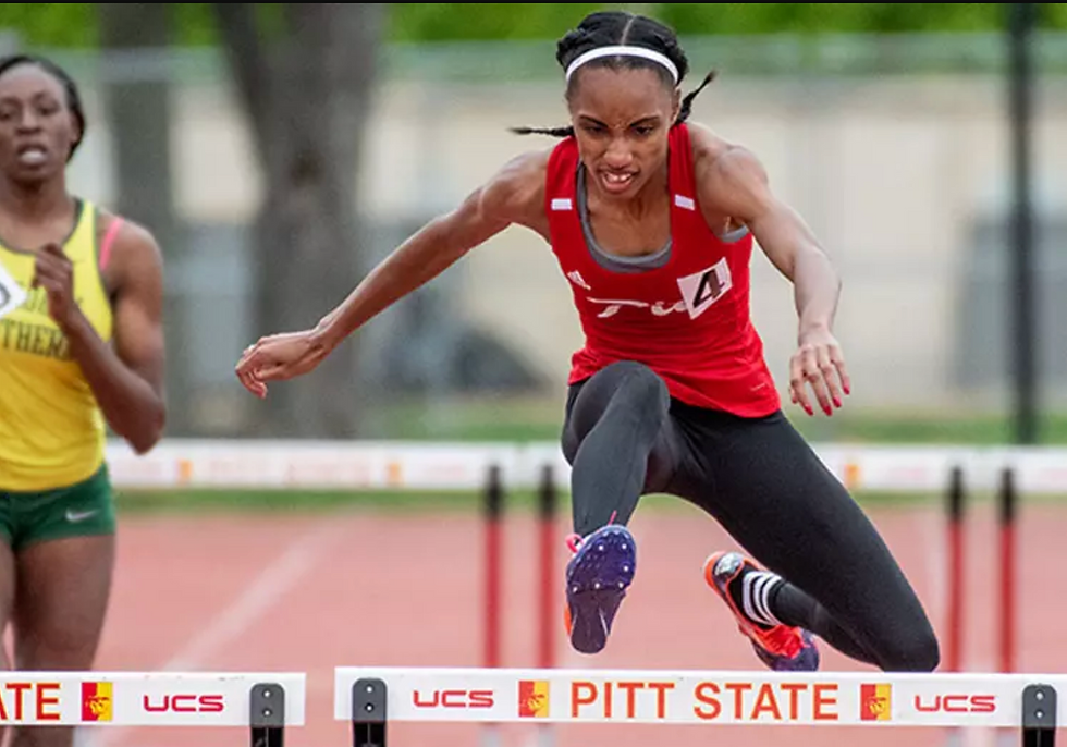 PSU Hurdle 5.png