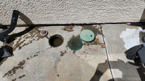 Clogged Sewer Line.jpg