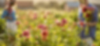 man-and-woman-pick-up-flowers-at-farm-ou