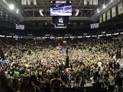 Is there a Court Storming Problem or an Idiot Problem?
