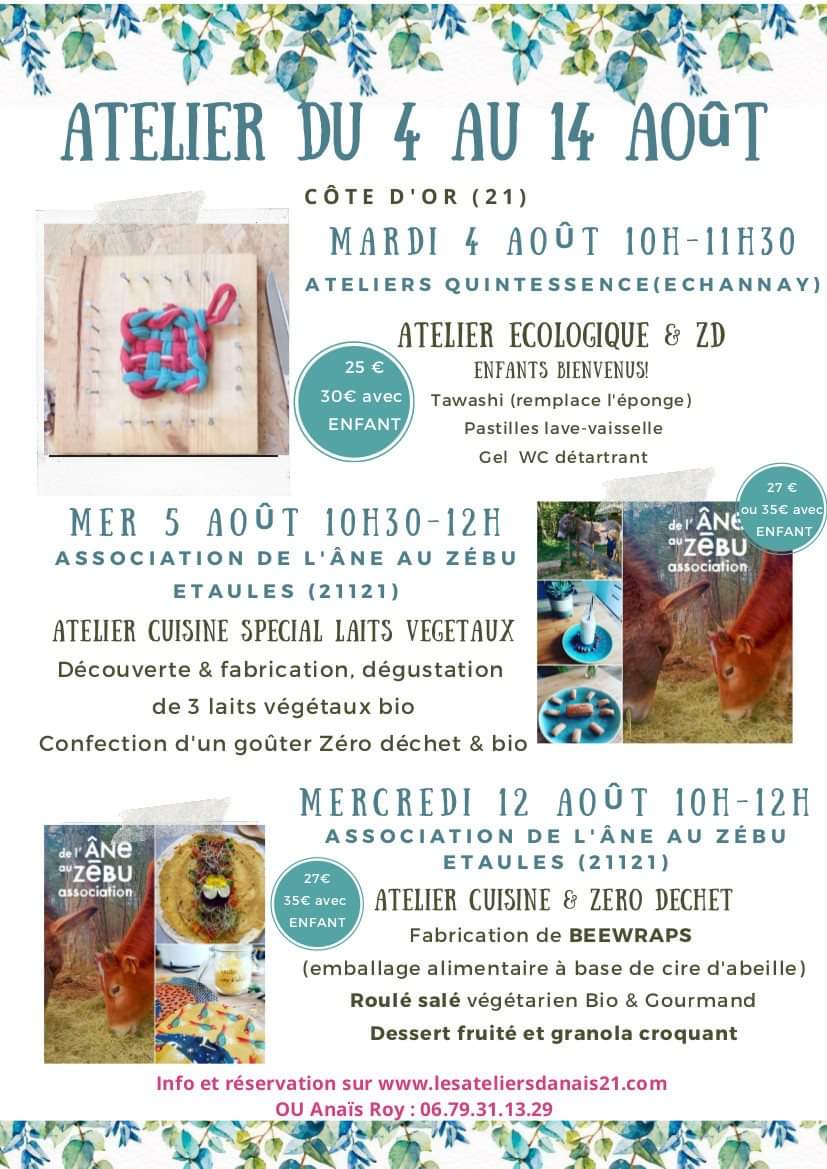 Programme des 15 premiers jours d'août ! content media
