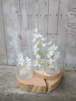 Wood base / cookies wedding hire