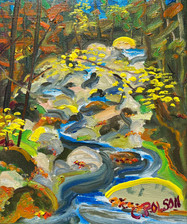 Roaring Brook Above Lean-to 4