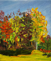 Front Yard Fantasia