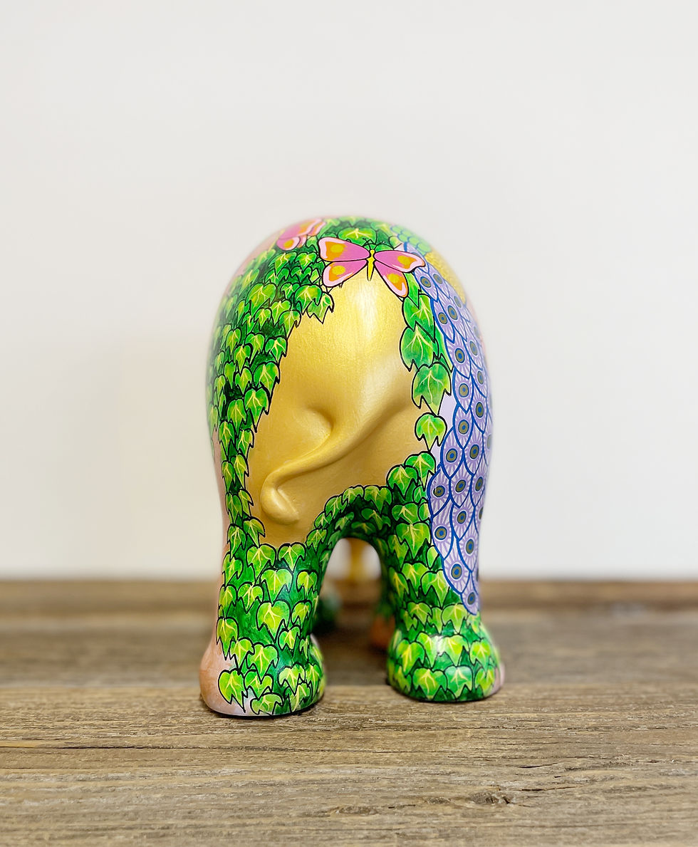Miniaturbild: Terra Uomo
