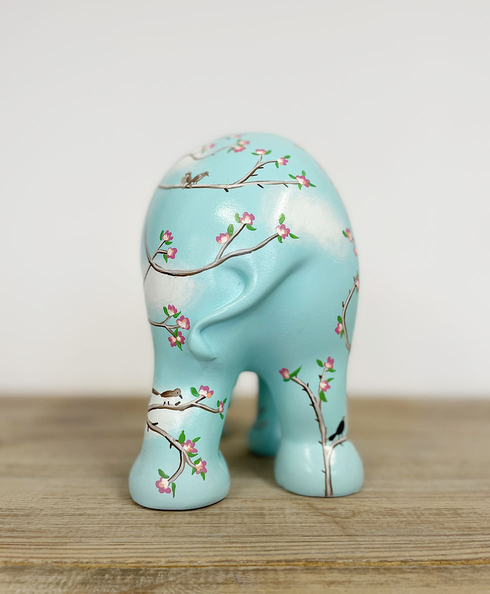 Miniaturbild: Blossom & Birds