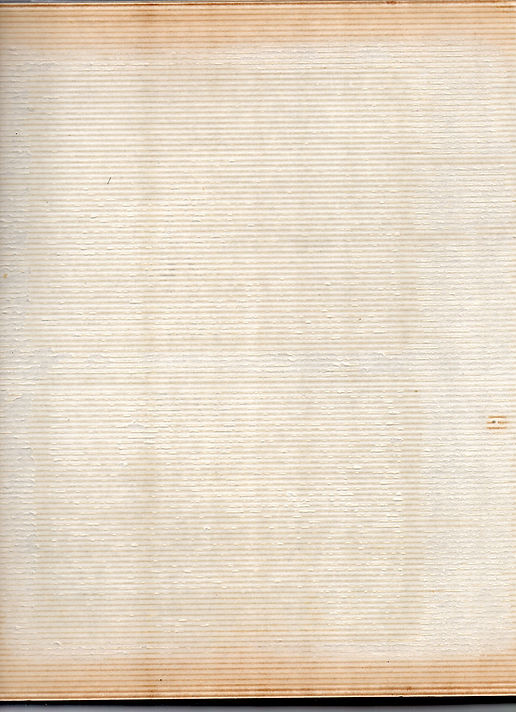 FONDO ALBUM.jpg