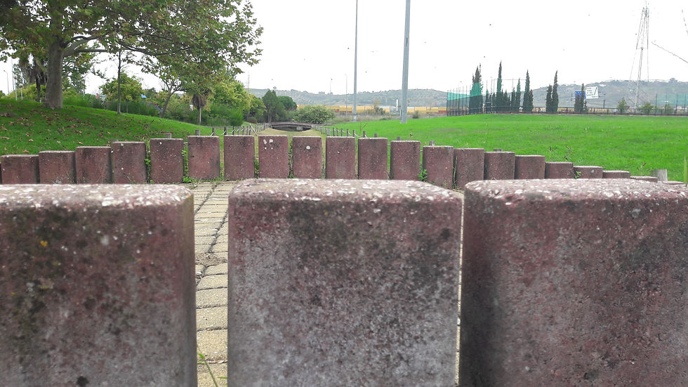 Panorâmica sobre pontes