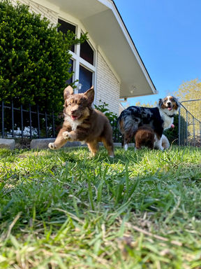IMG_1489.jpeg