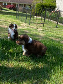 IMG_1529.jpeg