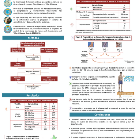 POSTERS DE PROYECTOS DE GRADO