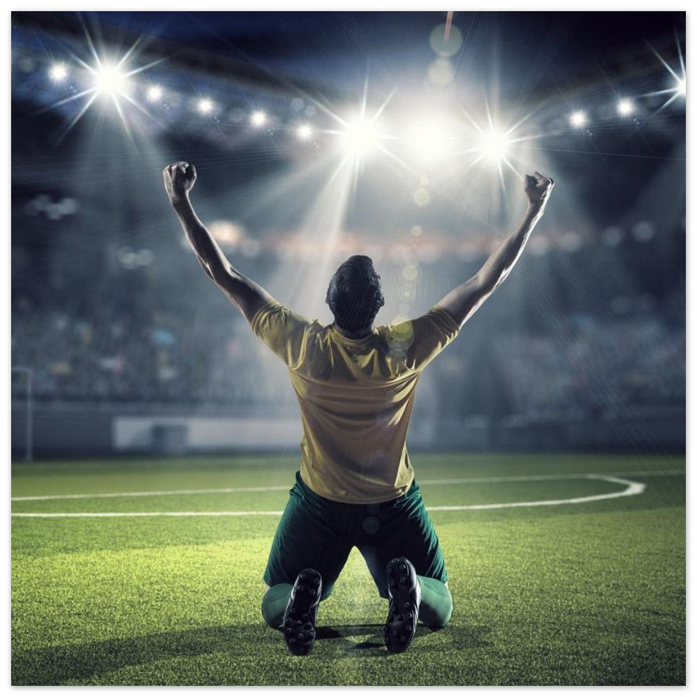 Soccer Goal Celebration Premium Matte Paper Poster 35x35 cm / 14x14″