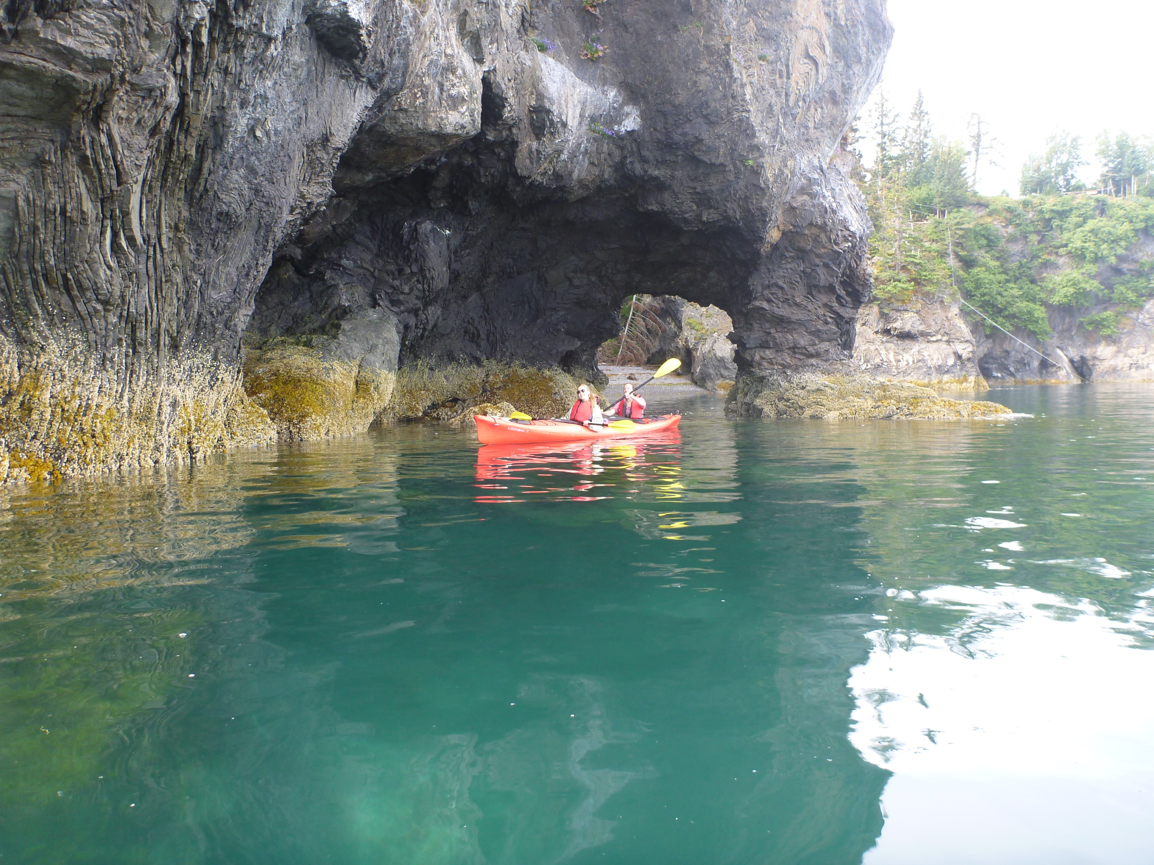 Halibut Cove Cliffside Cottages Kachemak Bay Cabin Rentals HCCC