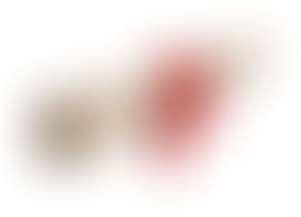 Remise du DNB dans les collèges