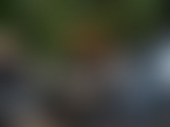 Salinas Pliego dice sobre ser candidato presidencial en 2030: ‘haré lo que sea necesario’