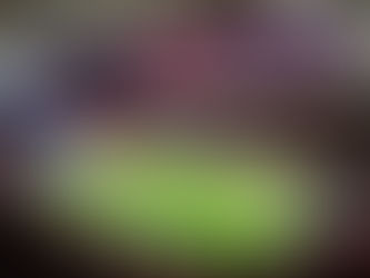 Chivas jugará a puerta cerrada ante Cruz Azul: FMF ratifica suspensión de un juego al Estadio Akron