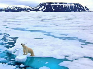 ONU advierte que el Ártico registrará calentamiento tres veces mayor a la media mundial en los próximos años