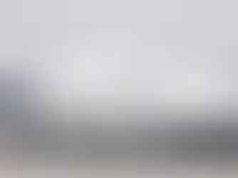 Hombre apuñala con un tenedor a dos menores en vuelo hacia Alemania; aterriza de emergencia en Boston