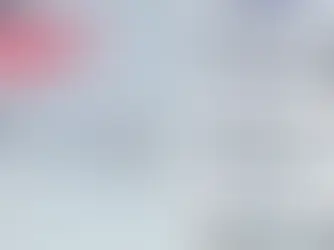 Narcopolítico a Informante para los Estados Unidos