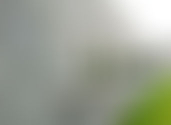 "Las perspectivas para el próximo año son más sombrías": OMC prevé una reducción del 1.3% al crecimiento del volumen del comercio mundial