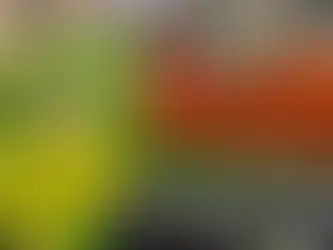 Inflación en México se desacelera por primera vez en dos meses; se ubica en 3.63%