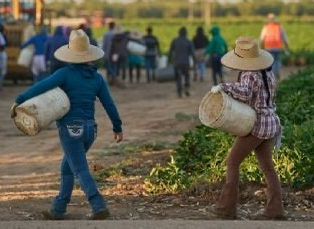 Más de 1.2 millones de migrantes han dejado la fuerza laboral durante los primeros siete meses del gobierno de Trump