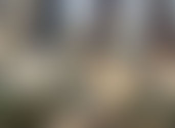 Inflación en México baja y se ubica en 4.51% durante la primera quincena de junio